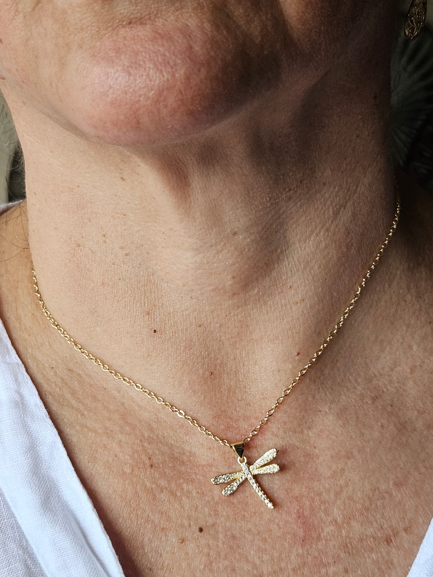 Cadena Vuelo de Libélula